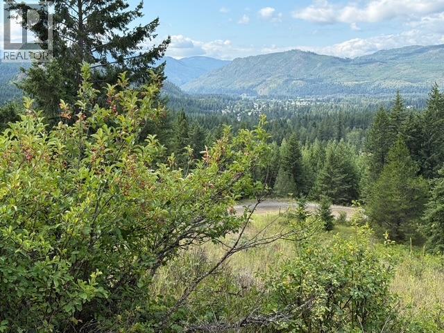 Lot 2 Gordon Creek Road, Barriere