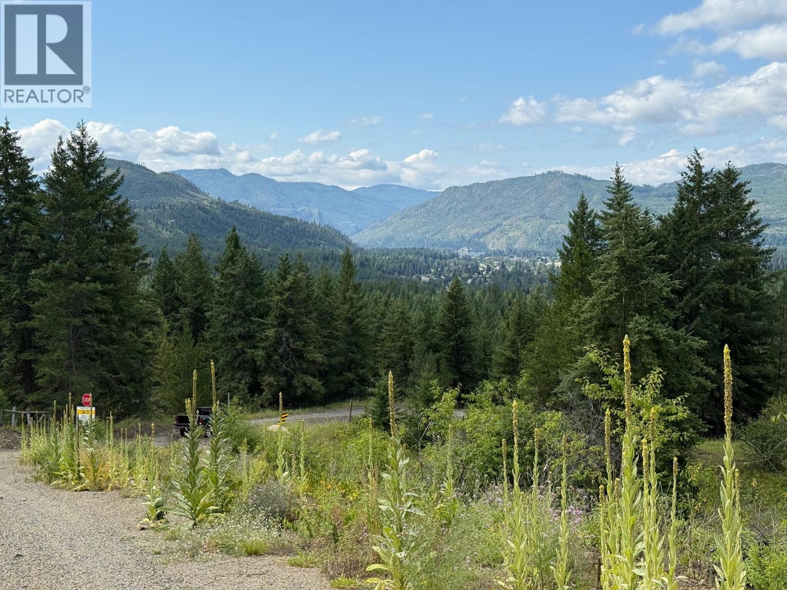 Lot 2 Gordon Creek Road, Barriere