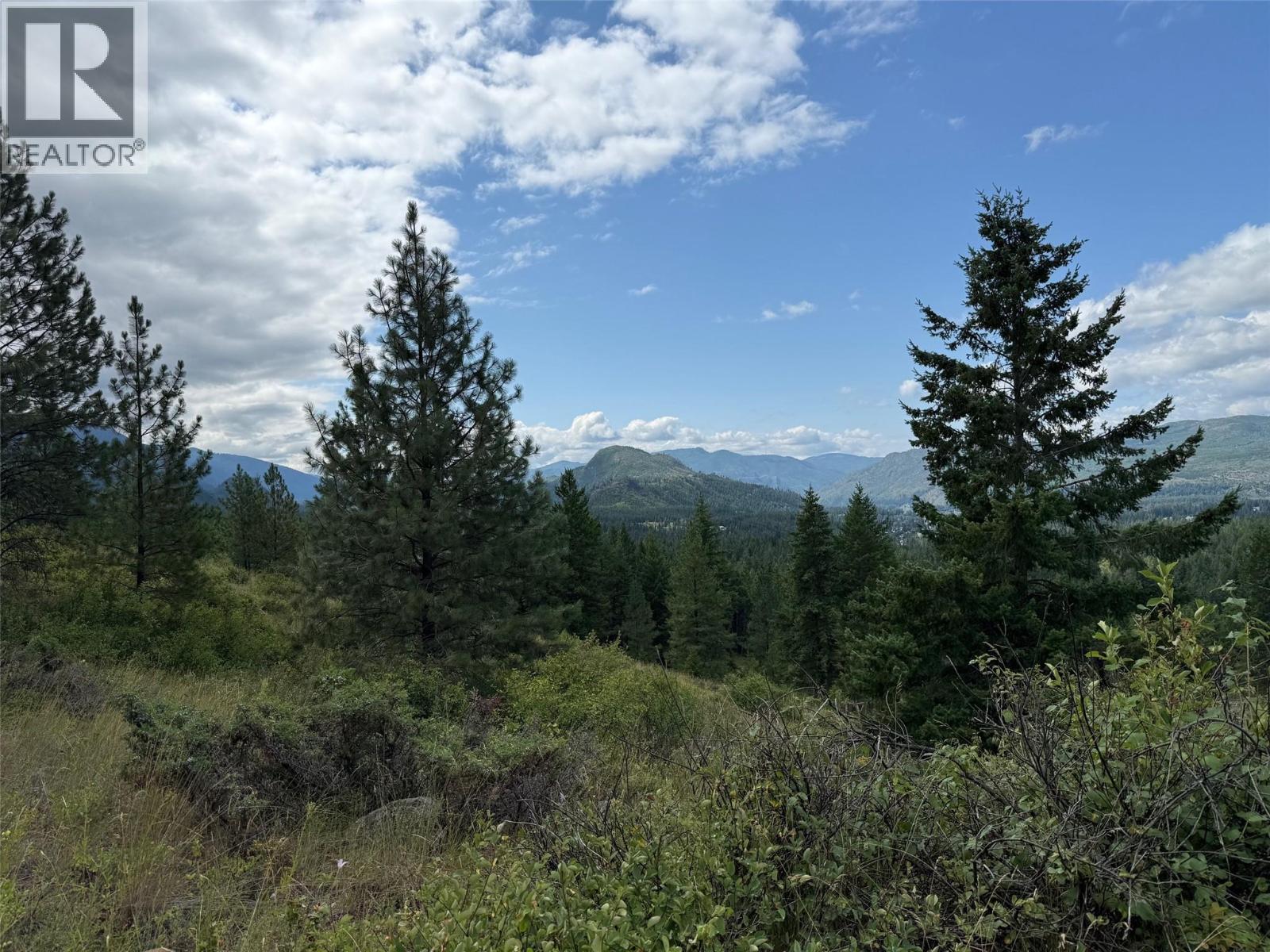 Lot 2 Gordon Creek Road, Barriere