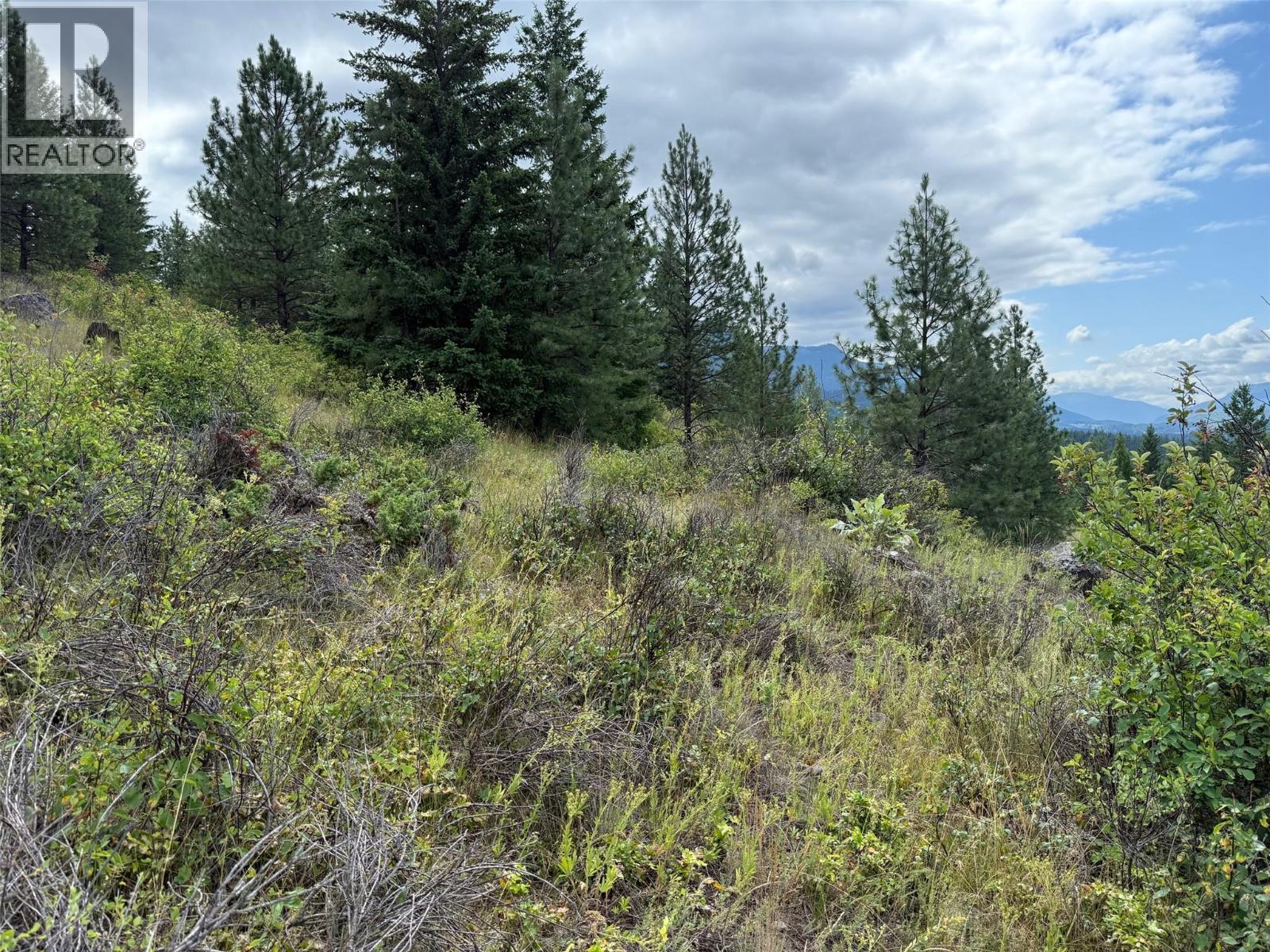 Lot 2 Gordon Creek Road, Barriere