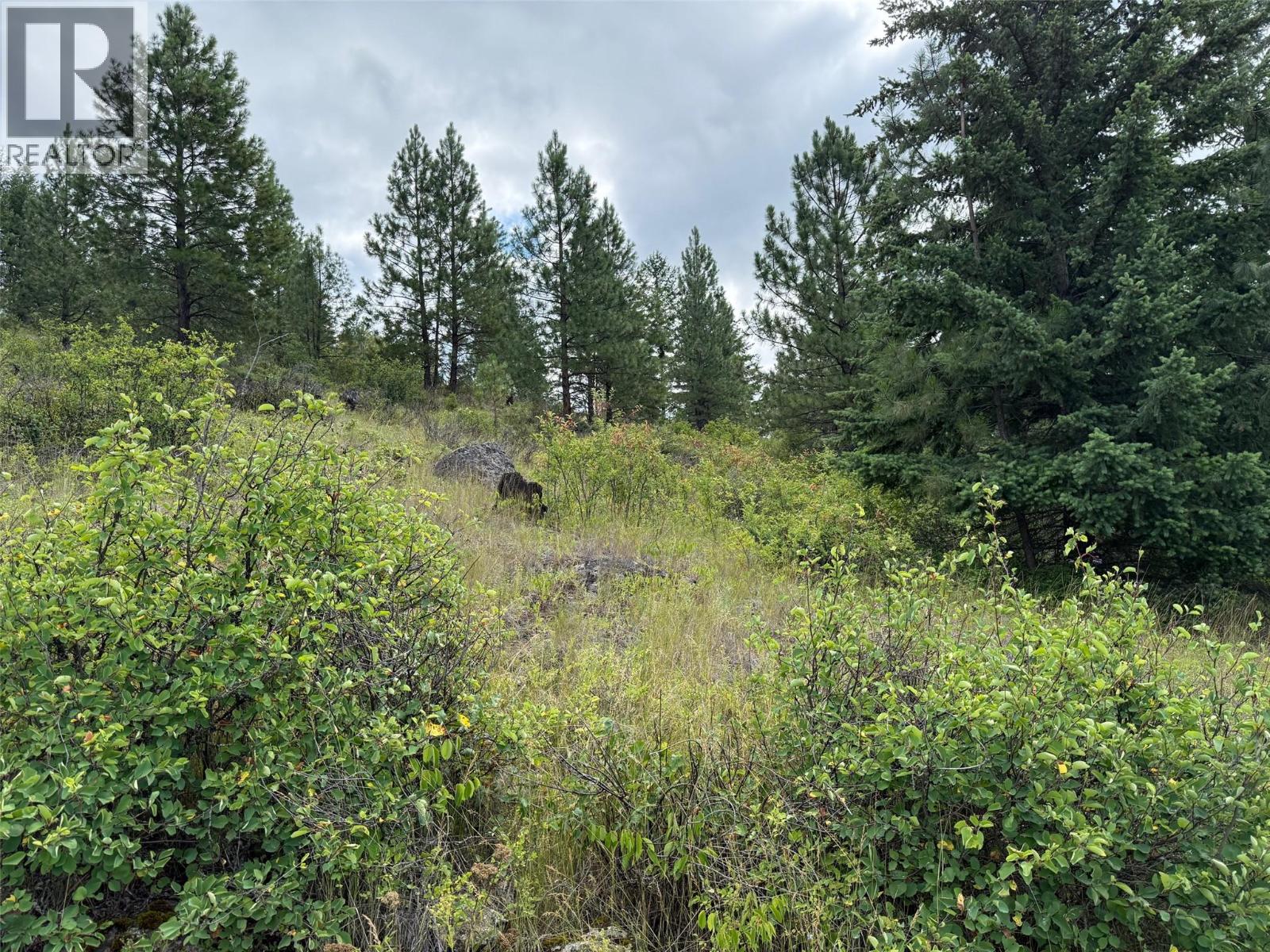 Lot 2 Gordon Creek Road, Barriere