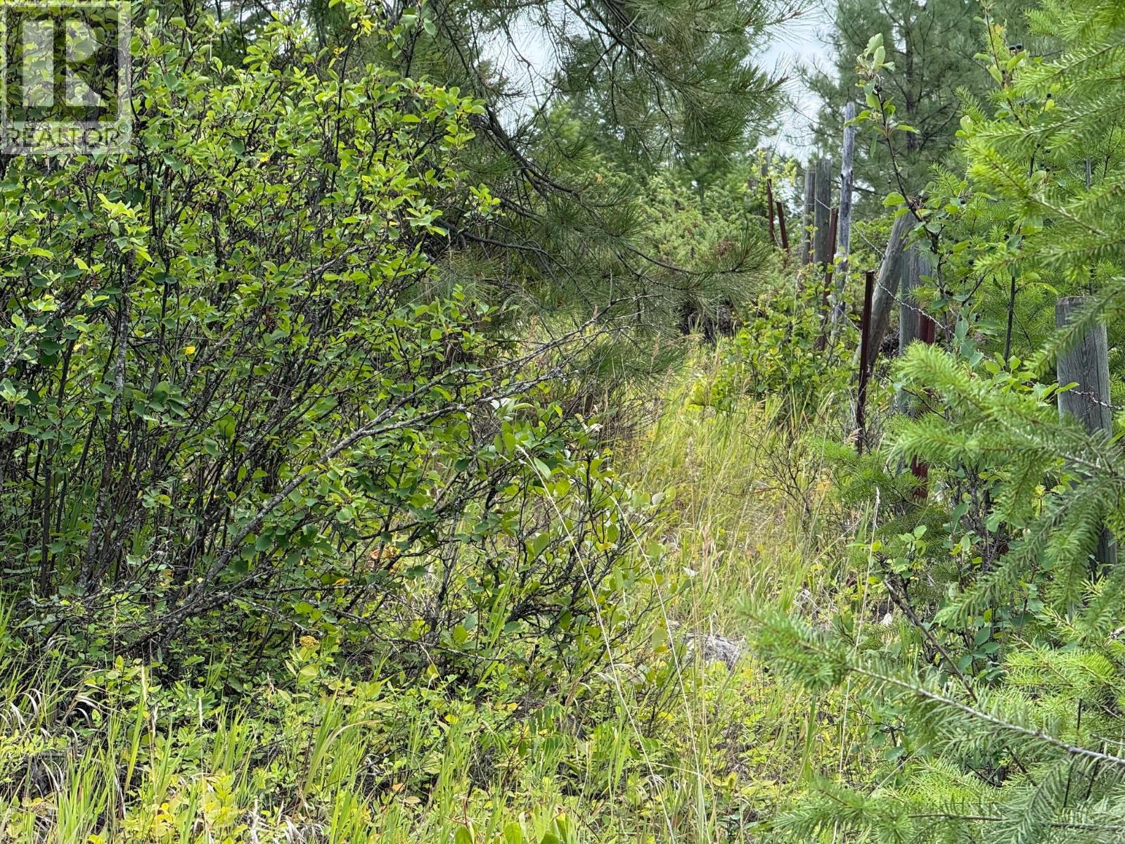 Lot 2 Gordon Creek Road, Barriere