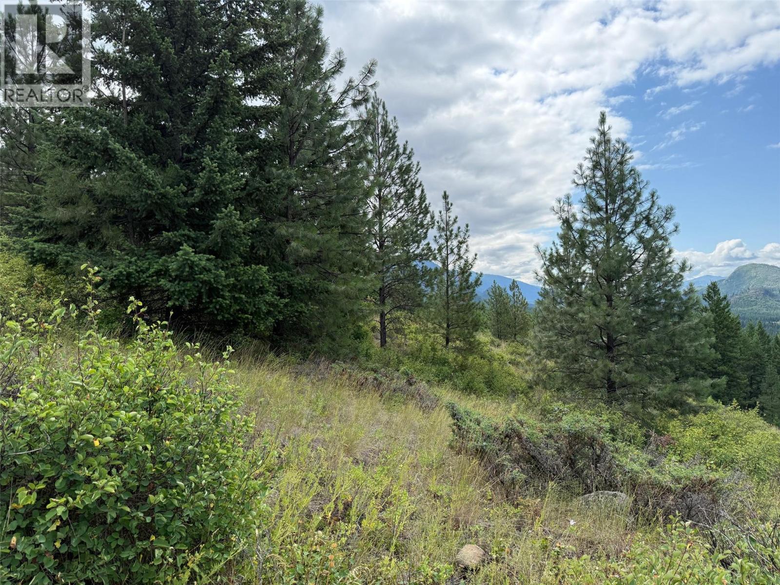 Lot 2 Gordon Creek Road, Barriere