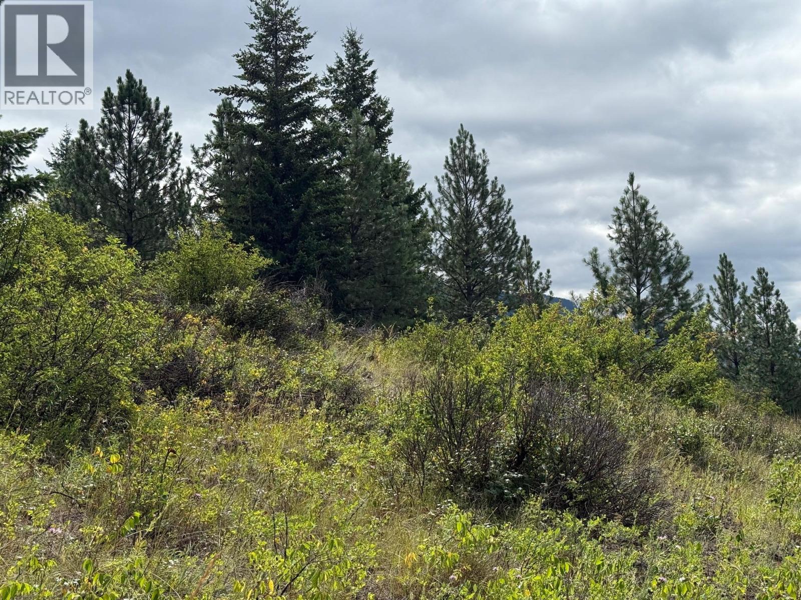 Lot 2 Gordon Creek Road, Barriere