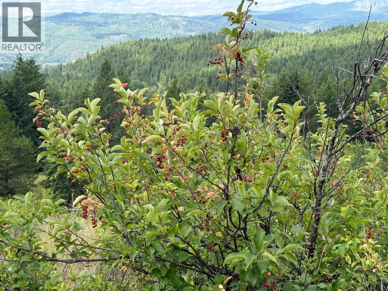 Lot 2 Gordon Creek Road, Barriere