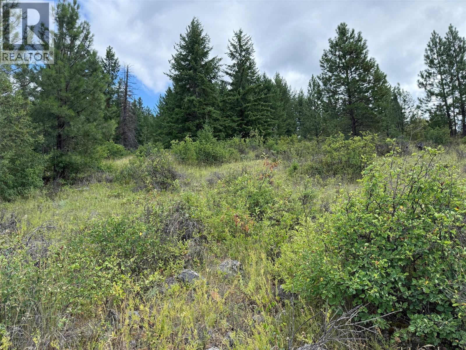 Lot 2 Gordon Creek Road, Barriere
