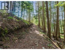 2621 3a Highway, Castlegar, BC V1N4P5 Photo 23