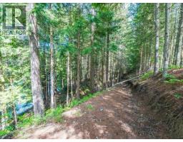 2621 3a Highway, Castlegar, BC V1N4P5 Photo 24