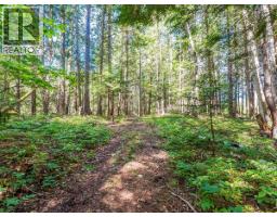 2621 3a Highway, Castlegar, BC V1N4P5 Photo 25