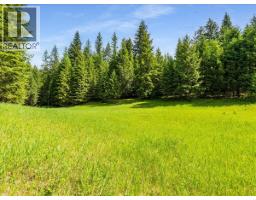 2621 3a Highway, Castlegar, BC V1N4P5 Photo 27