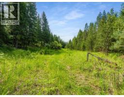 2621 3a Highway, Castlegar, BC V1N4P5 Photo 28
