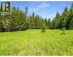 2621 3a Highway, Castlegar, BC V1N4P5 Photo 29