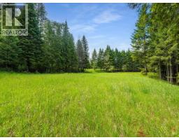 2621 3a Highway, Castlegar, BC V1N4P5 Photo 33