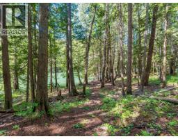 2621 3a Highway, Castlegar, BC V1N4P5 Photo 21