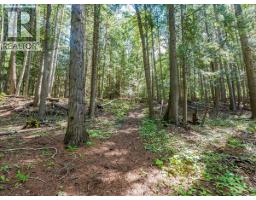 2621 3a Highway, Castlegar, BC V1N4P5 Photo 22