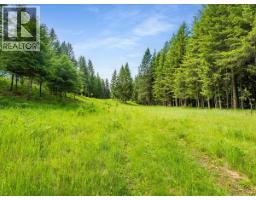2621 3a Highway, Castlegar, BC V1N4P5 Photo 32