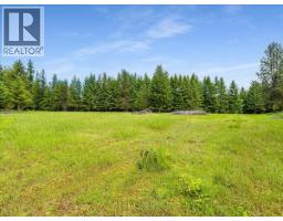 2621 3a Highway, Castlegar, BC V1N4P5 Photo 31