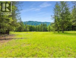 2621 3a Highway, Castlegar, BC V1N4P5 Photo 39