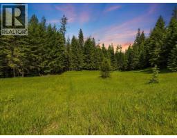 2621 3a Highway, Castlegar, BC V1N4P5 Photo 43