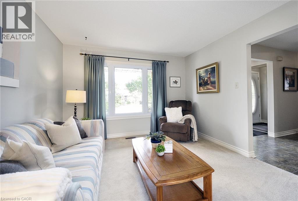 46 DOUGLAS Drive - Image 7