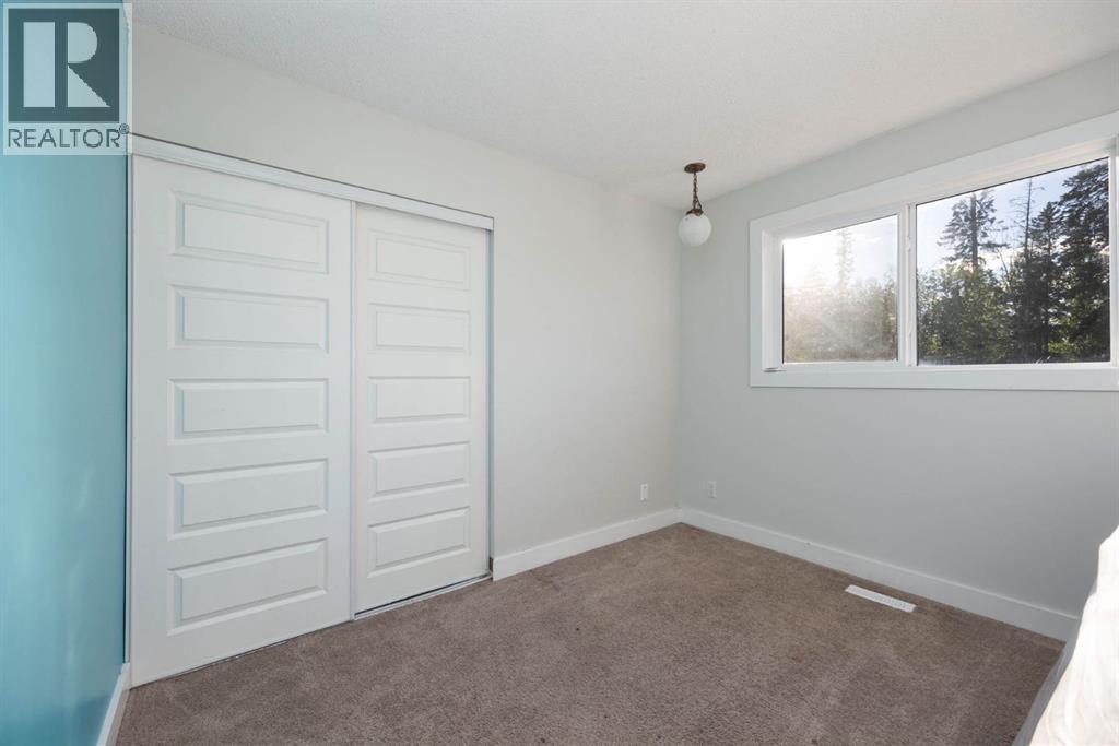 1041 Timberline Drive - Image 17