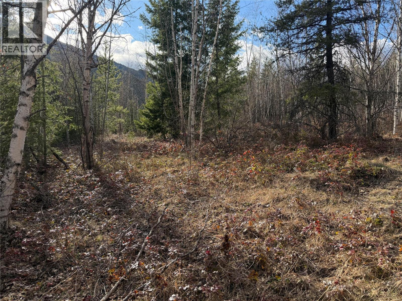 568 Agate Bay Road, Barriere