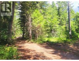 342 Schmidt Road, Clearwater, BC V0E1N2 Photo 44
