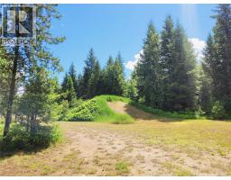 342 Schmidt Road, Clearwater, BC V0E1N2 Photo 49