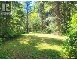 342 Schmidt Road, Clearwater, BC V0E1N2 Photo 35