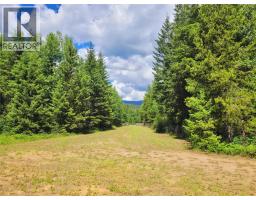 342 Schmidt Road, Clearwater, BC V0E1N2 Photo 50