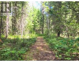 342 Schmidt Road, Clearwater, BC V0E1N2 Photo 54