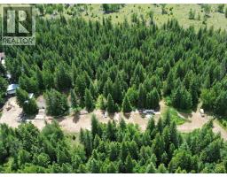 342 Schmidt Road, Clearwater, BC V0E1N2 Photo 58