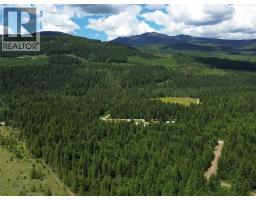 342 Schmidt Road, Clearwater, BC V0E1N2 Photo 63