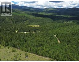 342 Schmidt Road, Clearwater, BC V0E1N2 Photo 62