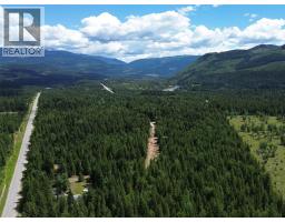 342 Schmidt Road, Clearwater, BC V0E1N2 Photo 60