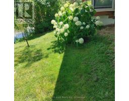 42 Otter Line, Kawartha Lakes, ON K9V0K1 Photo 38