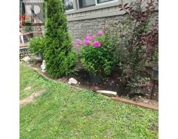 42 Otter Line, Kawartha Lakes, ON K9V0K1 Photo 45