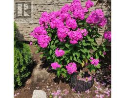 42 Otter Line, Kawartha Lakes, ON K9V0K1 Photo 47