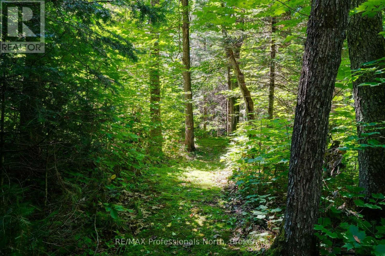 1237 WILLIAMSPORT ROAD - Image 34