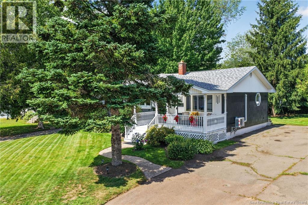 55 Lindsay Street - 3