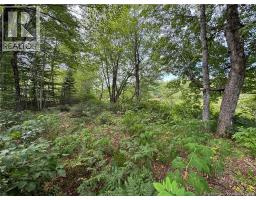 Vacant Lot 750 Route, Valley Road, NB E3L4V1 Photo 23