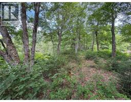 Vacant Lot 750 Route, Valley Road, NB E3L4V1 Photo 22