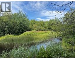 Vacant Lot 750 Route, Valley Road, NB E3L4V1 Photo 26