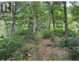 Vacant Lot 750 Route, Valley Road, NB E3L4V1 Photo 21