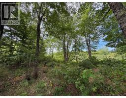 Vacant Lot 750 Route, Valley Road, NB E3L4V1 Photo 29