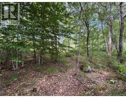 Vacant Lot 750 Route, Valley Road, NB E3L4V1 Photo 31