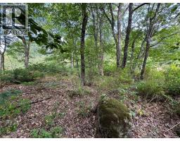 Vacant Lot 750 Route, Valley Road, NB E3L4V1 Photo 30