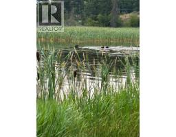 9498 Westside Road, Invermere, BC V0A1K5 Photo 65