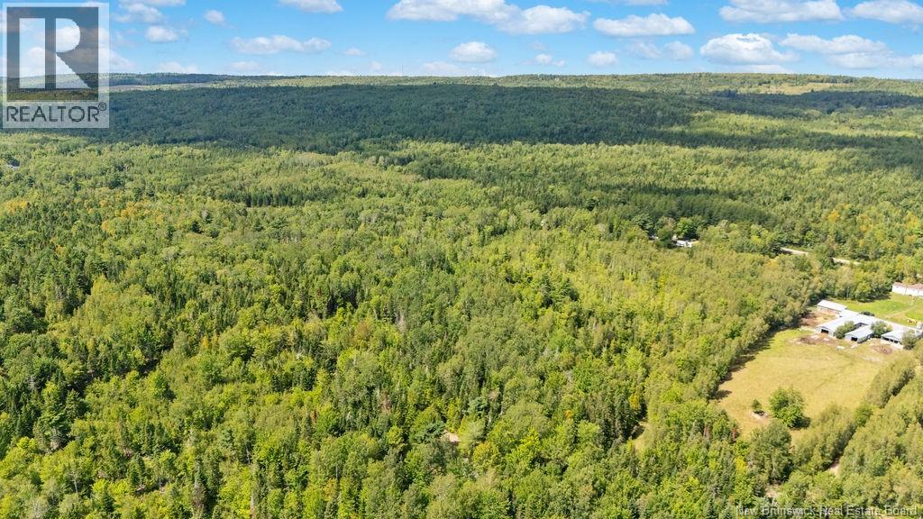 20 Harper Settlement Road - Image 39