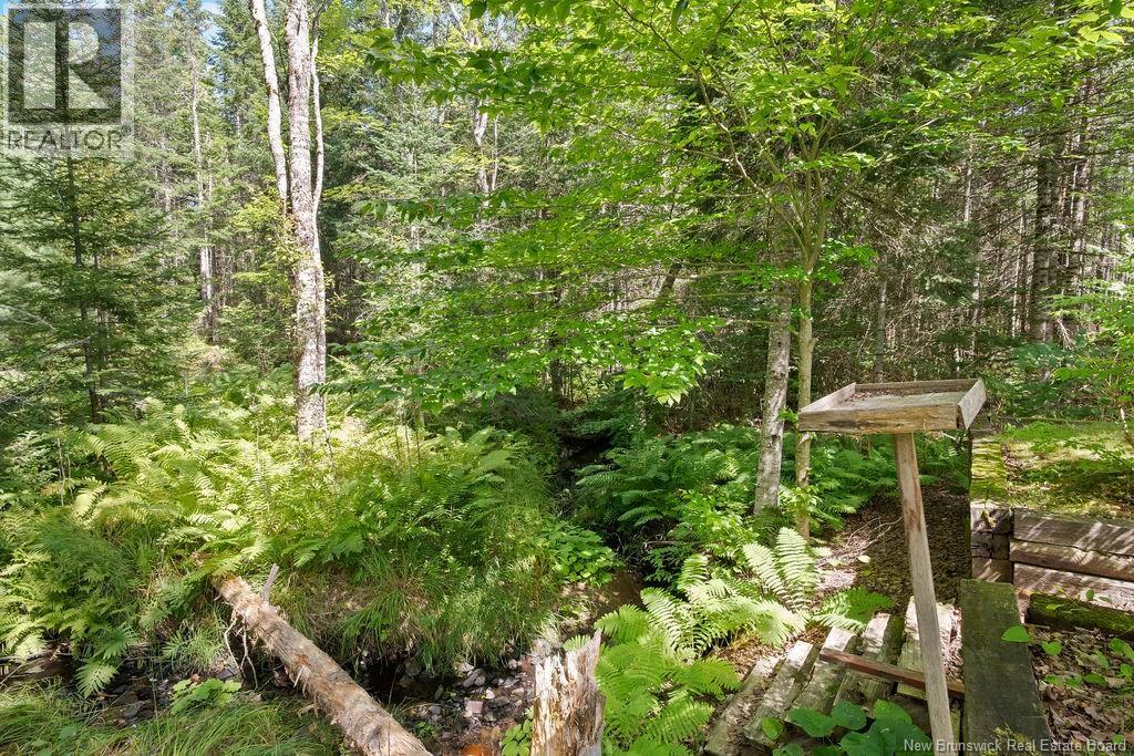 20 Harper Settlement Road - Image 35